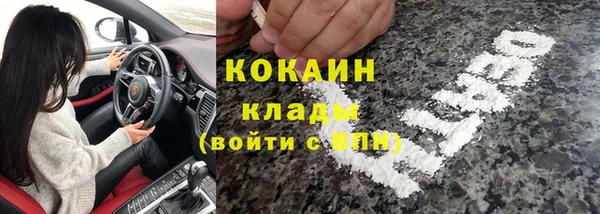 СК Россошь